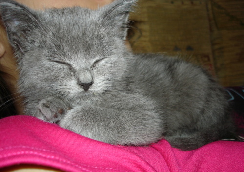 DSC08040.jpg